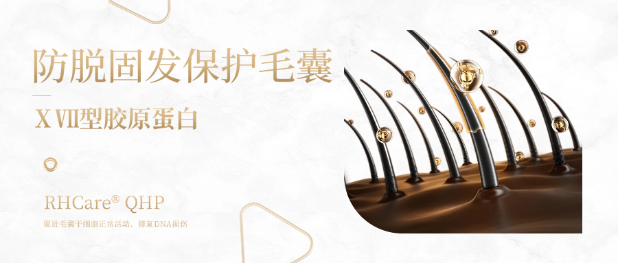 迪諾薇華ⅩⅦ 型膠原蛋白 | 一種可防脫生發、無“狂脫期”的神奇膠原蛋白